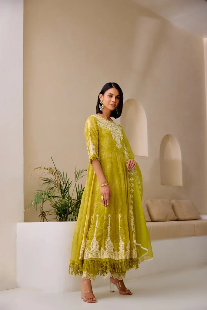 Neerus M Green Flared Emblleshied Kurta And Trousers With Dupatta