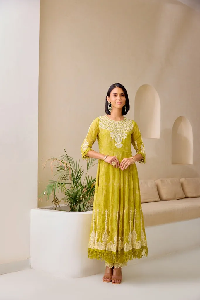 Neerus M Green Flared Emblleshied Kurta And Trousers With Dupatta