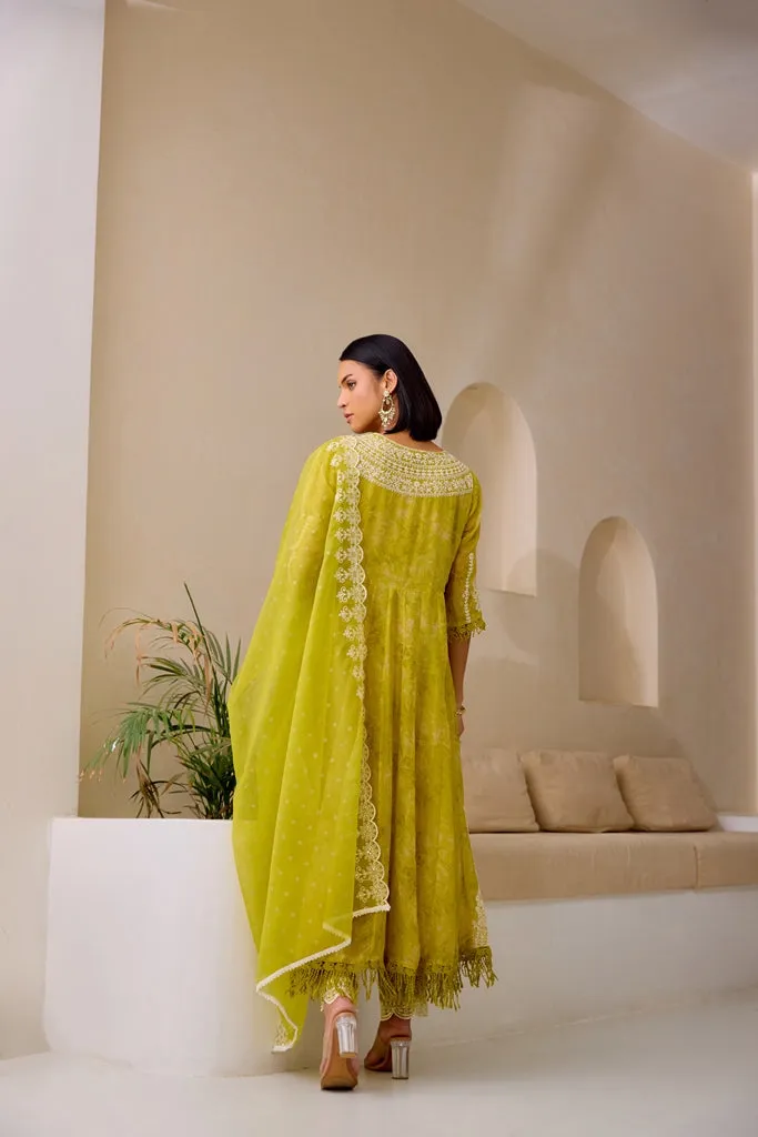 Neerus M Green Flared Emblleshied Kurta And Trousers With Dupatta