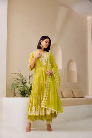 Neerus M Green Flared Emblleshied Kurta And Trousers With Dupatta