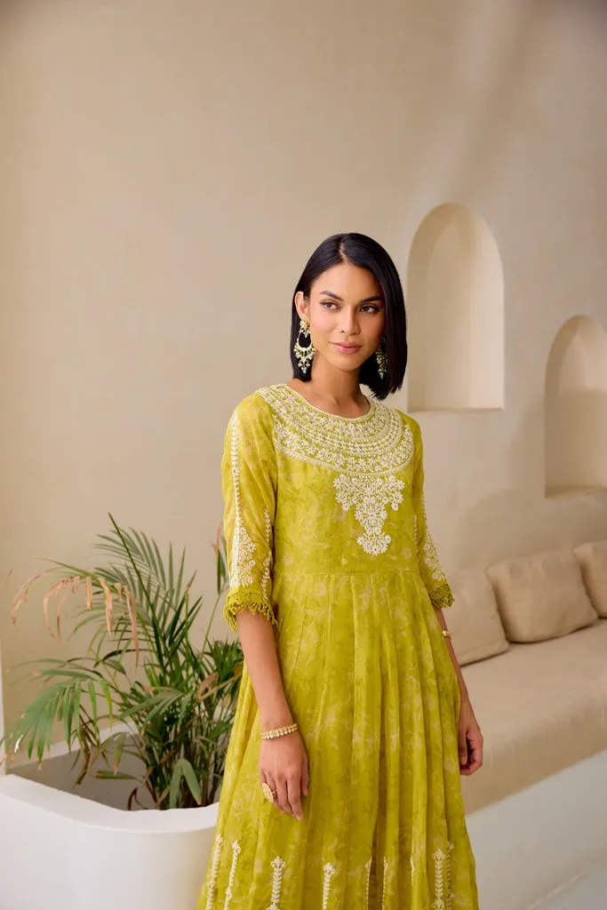 Neerus M Green Flared Emblleshied Kurta And Trousers With Dupatta