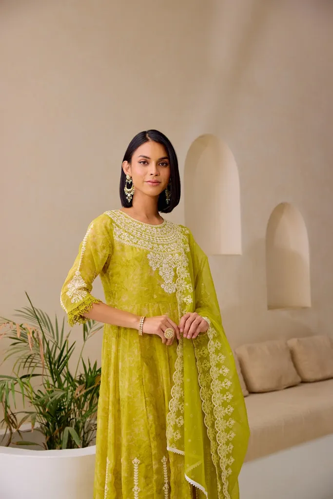 Neerus M Green Flared Emblleshied Kurta And Trousers With Dupatta