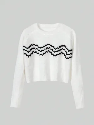 SHEIN MOOSTA Chevron Pattern Raglan Sleeve Crop Sweater